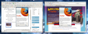 Both Firefox Versions Together